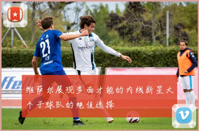 维萨尔展现多面才能的内线新星大个子球队的绝佳选择